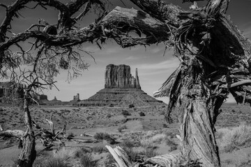 Monument Valley in Black and White