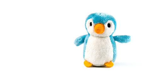 small penguin on a white background