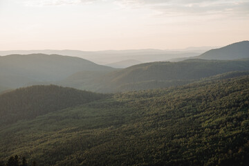 Dense taiga forest from above, bird's-eye view, drone shooting, flying over the forest, light haze in the distance, green trees, mixed forest