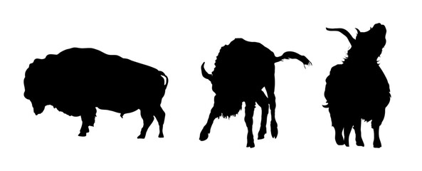 bison silhouettes set