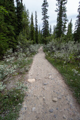 Kootenay Plains Ecological Reserve, AB