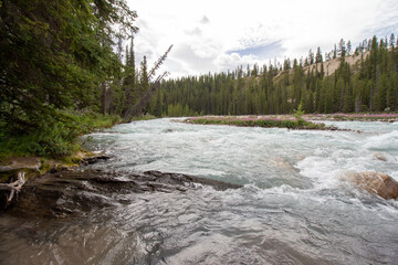 Kootenay Plains Ecological Reserve, AB