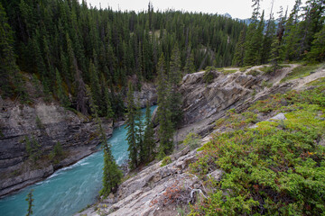 Kootenay Plains Ecological Reserve, AB