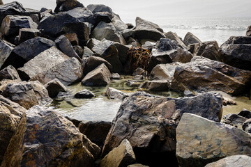 rocks on the beach