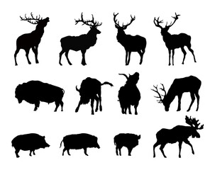 set of wild animals silhouettes, deer, boar, moose, bison
