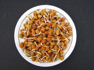 sprouted chickpeas in a plate 