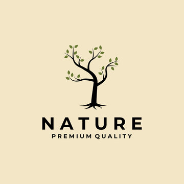 Tree of life logo template design inspiration isolated