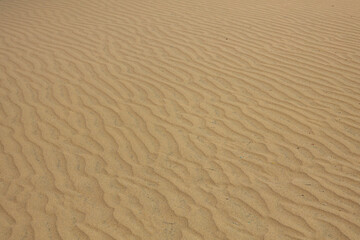 Fototapeta na wymiar Gran Canaria dunes - Maspalomas sand desert, Spain
