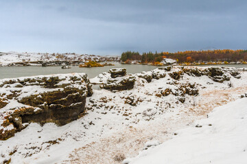 Mývatn  Vulkanischer See mit einer geothermisch erwärmten Lagune, Wildvögeln und Schafe