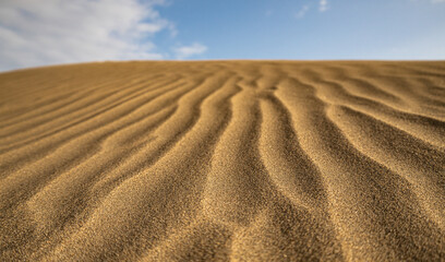 Fototapeta na wymiar Maspalomas Dunes on the coast of Gran Canaria, Spain