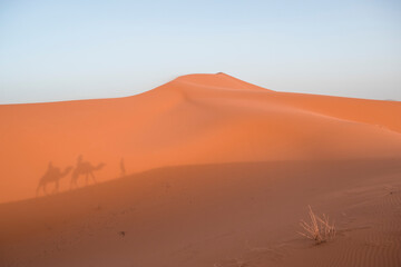 Fototapeta na wymiar Caravan Silhouettes in the Sand Dunes of Erg Chebbi, Sahara Desert, Morocco.