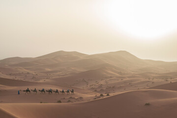 Fototapeta na wymiar Camel Caravan in Erg Chebbi, Sahara Desert, Morocco.