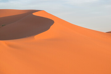 Naklejka na ściany i meble Crest of a sand dune in Erg Chebbi, Sahara Desert, Morocco.