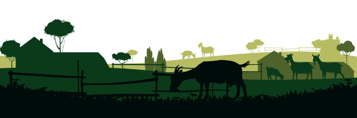 Goats grazing on pasture. Picture silhouette. Farm pets. Rural landscape with farmer house. Animals for milk and dairy products. Isolated on white background. Vector