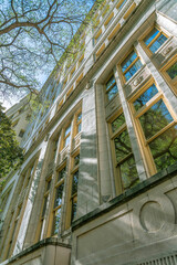 Exterior of a building with glass windows reflecting the trees and blue sky