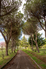 View of the Parco della Pace (Park of the Peace), at the beginning of the spring, in Pesaro, Marche, Italy
