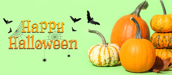 Many pumpkins on green background. Happy Halloween