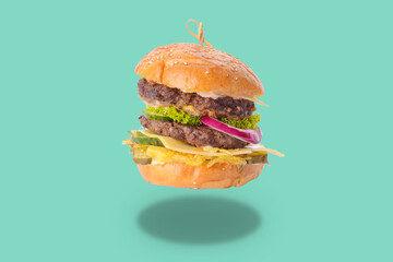 Tasty fresh burger on white background