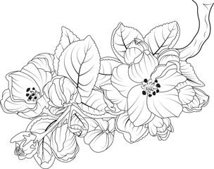 Creative floral hand-drawn flower line art design