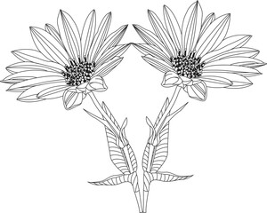 Creative floral hand-drawn flower line art design