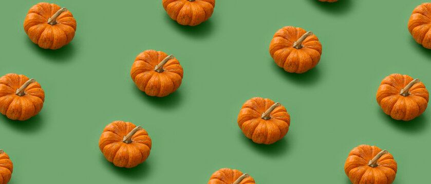 Many ripe pumpkins on green background. Pattern for design
