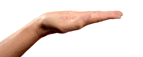 Flat Male Hand