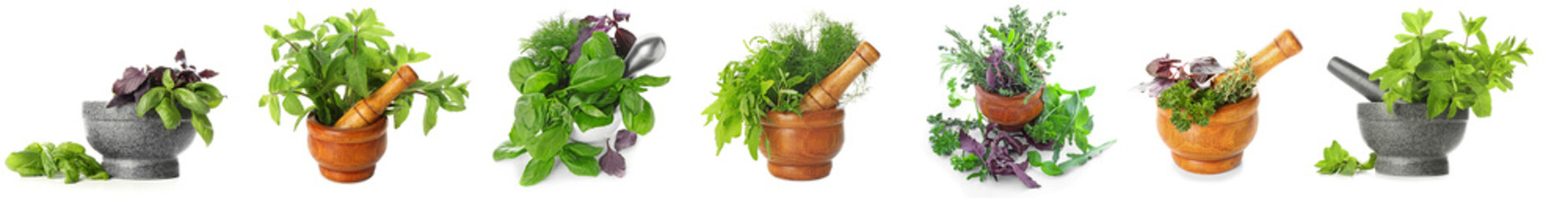 Collage of aromatic herbs on white background