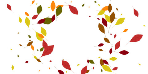 Leaves. Yellow, red, green, orange, brown colors. Scattered autumn leaves. Unusual abstract texture. Vector eps 10.