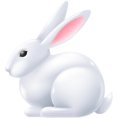 White Rabbit On Transparent Background