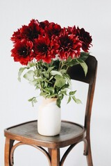 Fototapeta premium Dahlias are a seasonal flower, autumn flowers