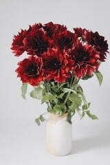 Dahlias are a seasonal flower, autumn flowers