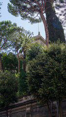 Fototapeta premium church in the forest