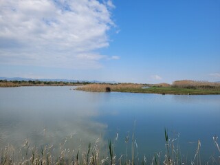 landscape with a lake in the country