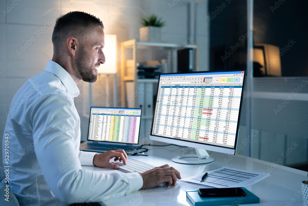 Poster Analyst Working With Spreadsheet Business Data