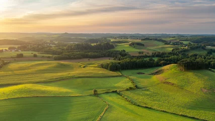 Stickers Weide Beautiful summer morning over the green fields  © Piotr Krzeslak