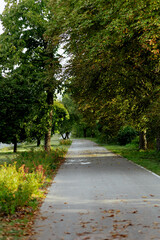 path in the park