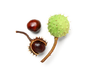 Chestnuts with shells on white background