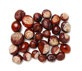 Fresh chestnuts on white background