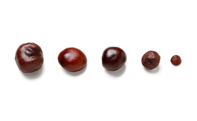 Fresh chestnuts on white background