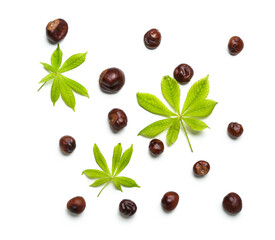 Composition with chestnuts and leaves on white background