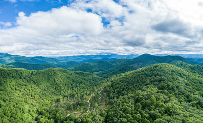 Fototapeta premium creative