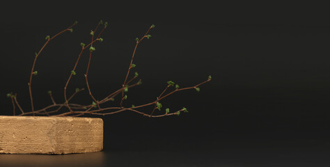 Empty texture gold stone platform eco podium and leaf twig on black copy space background. Minimal...