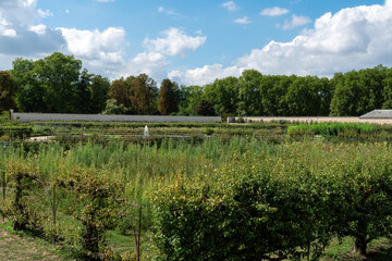 Versailles, France - August 26 2022: King's Kitchen Garden (Potager du Roi). It was built in1678-1683 by French gardening Jean-Baptiste La Quintinie, at the request of Louis XIV.