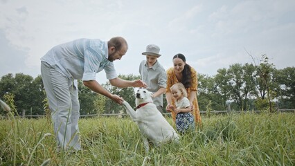 Happy family with dog walking in meadow. Low angle tracking shot of bearded dad giving snack to obedient dog then strolling in grassy field with mom and children against cloudy sky on summer day in