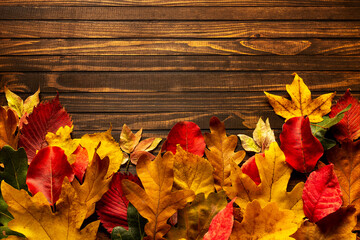 Autumn maple and oak leaves over old wooden background with copy space