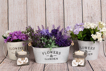 Maceteros con flores de lavanda ,violetas y velas. - obrazy, fototapety, plakaty