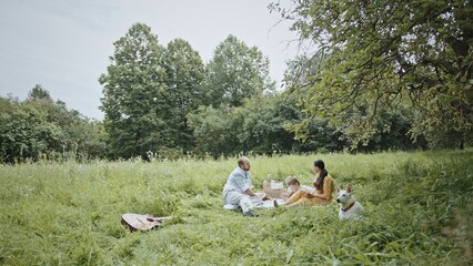A family with two young children relax on a picnic in a summer green park. A day off spent with the family, a happy wife with her husband and children in the park.