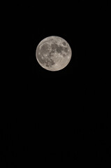 Full moon. Earth's natural satellite. Vertical image.