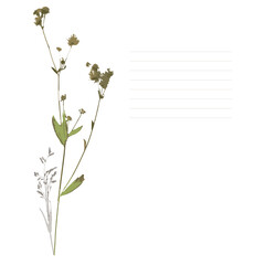 notebook cover with a branch of delicate field flowers