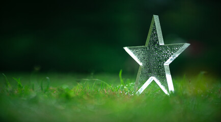 Championship cup in the form of a glass star. The winner's prize is in dewdrops on the green grass. Awarding the team.